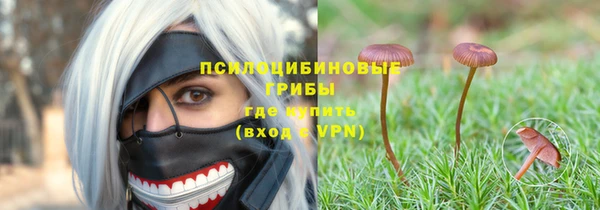 2c-b Гусев