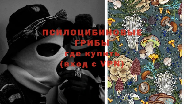 первитин Дмитриев