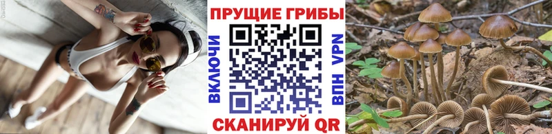 наркота Архангельск Галлюциногенные грибы Magic Shrooms